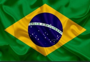 Eu vou Traduzir Seus Textos De Inglês Para Português.