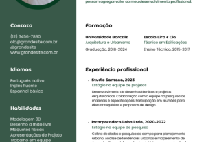 Eu vou fazer seu currículo da forma mais organizada e comple...