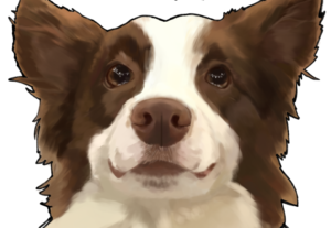Eu vou fazer um desenho/ilustração de um bichinho