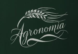Eu vou melhorar a sua logo ou fazer uma nova profissionalmen...