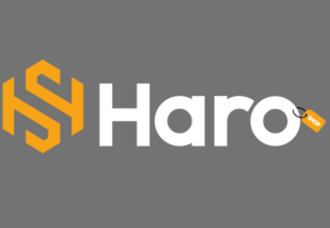 Eu vou fazer uma Logotipo profissional para sua empresa