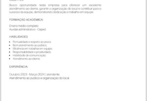 Eu vou fazer um currículo para você