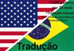 Eu vou Traduzir Seu Texto/e-book em Inglês
