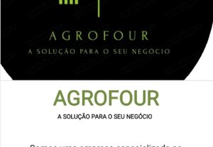 Eu vou fazer o logotipo da sua empresa