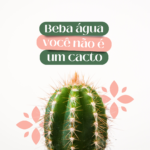Eu vou editar vídeos, fazer designs para redes sociais.