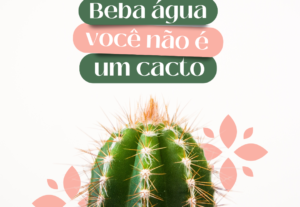 Eu vou editar vídeos, fazer designs para redes sociais.