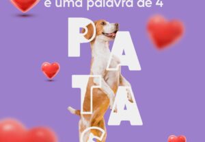 Eu vou criar 30 conteúdos para sua rede social