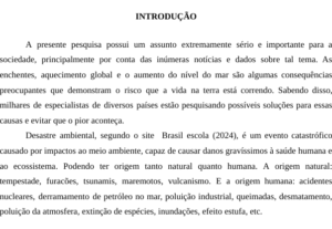 Eu vou Transcrever seu áudio de até 1 hora