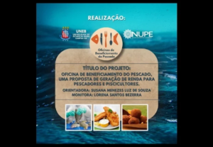 Eu vou criar flyers profissionais e exclusivos