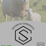 Eu vou criar banners e melhorar logos