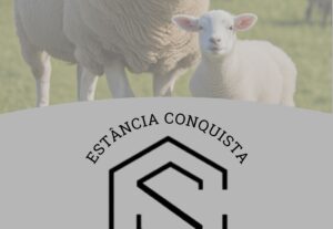 Eu vou criar banners e melhorar logos