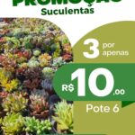 Eu vou fazer seu convite interativo/ flyer