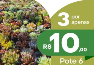 Eu vou fazer seu convite interativo/ flyer