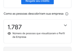 Eu vou Criar sua página empresarial dentro do Google
