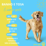 Eu vou Fazer um flyer pra você