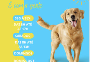 Eu vou Fazer um flyer pra você
