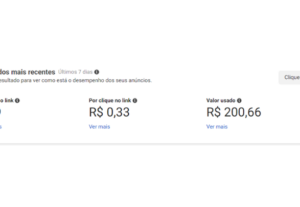 Eu vou fazer Trafego Pago da sua Empresa