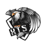 Eu vou fazer a melhor logo e-sport para você