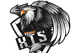 Eu vou fazer a melhor logo e-sport para você