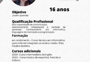 Eu vou fazer os slides que você precisa em 24h.