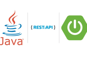 Eu vou Criar seu sistema web