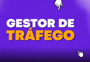 Eu vou fazer o trabalho de gestão de tráfego para sua empres...