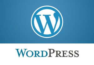 Eu vou Desenvolver seu site em WordPress