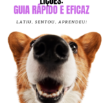Eu vou criar seus E-books em menos de 3 horas