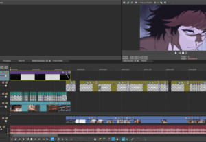 Eu vou editar seu vídeo da maneira que quiser.