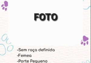 Eu vou Fazer uma propaganda para seu produto e/ou negócio
