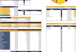 Eu vou Fazer sua planilha de organização financeira