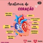 Eu vou fazer Mapas mentais em 1 dia.