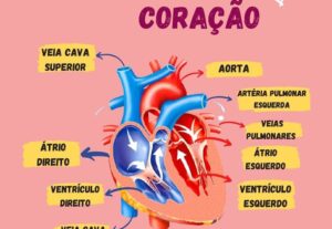 Eu vou fazer Mapas mentais em 1 dia.