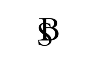 Eu vou fazer sua logo em 24hrs