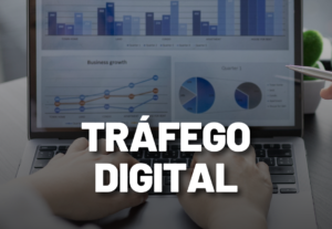 Eu vou fazer gestão de tráfego pago para você/seu negócio.
