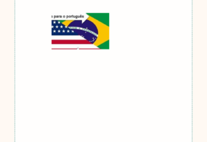 Eu vou traduzir e narrar seu video do portugues para inglês