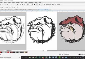 Eu vou vetorizar imagens ou logos para Corel ou pdf.