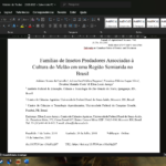 Eu vou traduzir um texto de 2 mil palavras