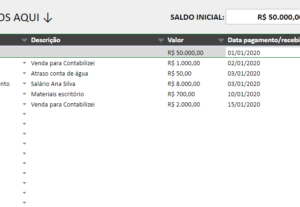 Eu vou Organizar sua empresa com uso de planilhas