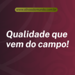 Eu vou fazer o card perfeito para o seu instagram/facebook
