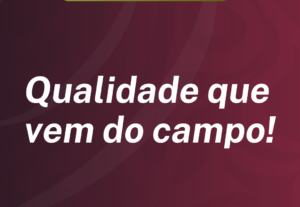 Eu vou fazer o card perfeito para o seu instagram/facebook