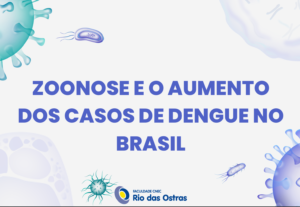 Eu vou criar trabalhos acadêmicos e slides