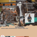 Eu vou fazer seu Design gráfico