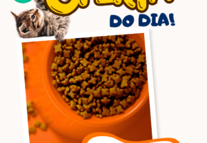 Eu vou fazer  post para você divulgar sua loja