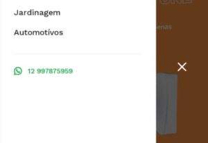 Eu vou fazer um site de e-commerce e ser seu gestor de trafe...