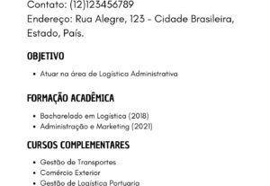 Eu vou elaborar bom um currículo profissional