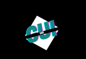 Eu vou fazer um logotipo para sua marca ou empresa.