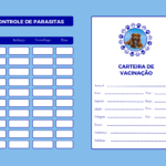 Eu vou fazer Convites, edições e flyers