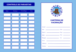 Eu vou fazer Convites, edições e flyers