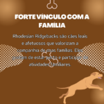 Eu vou Mudar a visão do seu Instagram profissional